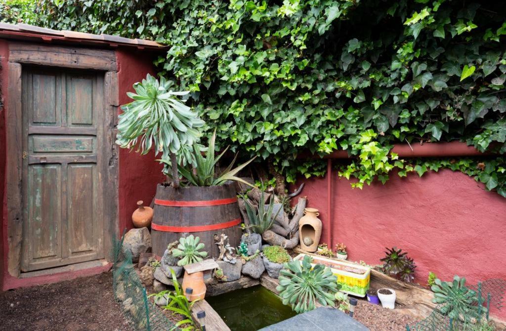 Casa Florida Διαμέρισμα La Orotava Εξωτερικό φωτογραφία